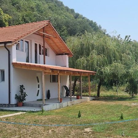 Vila Legrand Bazias Ngoại thất bức ảnh